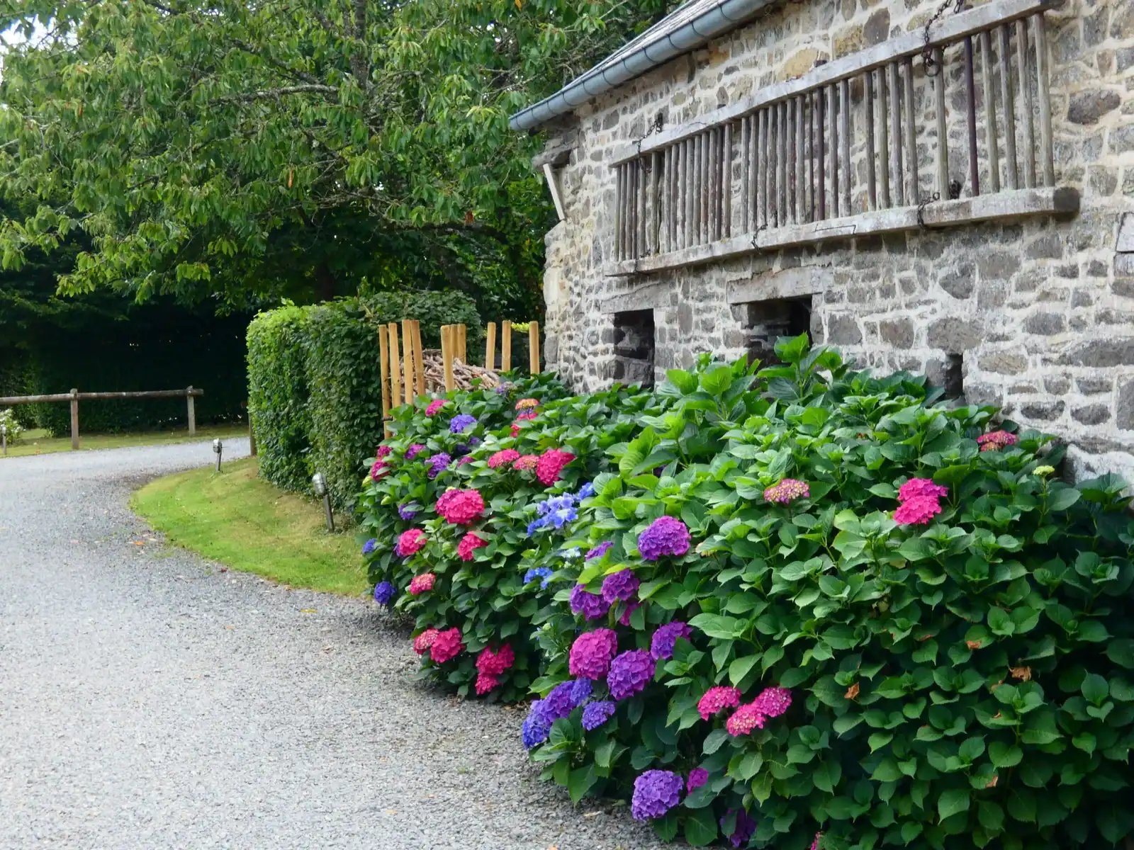 Gite de la cour, cour fleurie